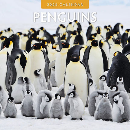 Red Robin Pinguin Kalender 2026