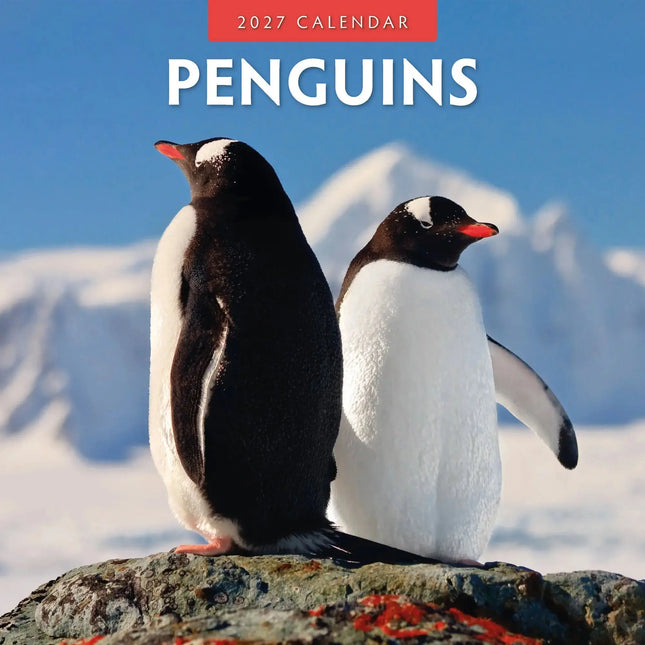 Red Robin Pinguin Kalender 2027