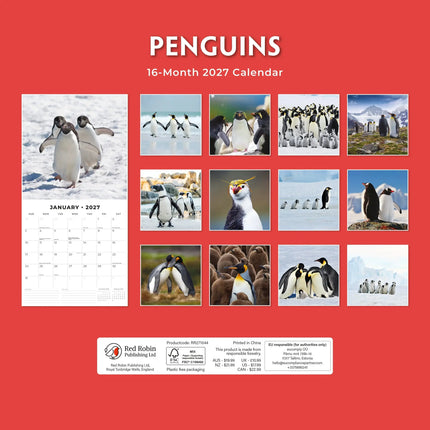 Red Robin Pinguin Kalender 2027