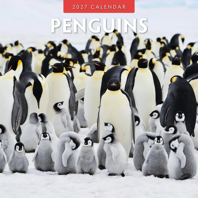 Red Robin Pinguin Kalender 2027