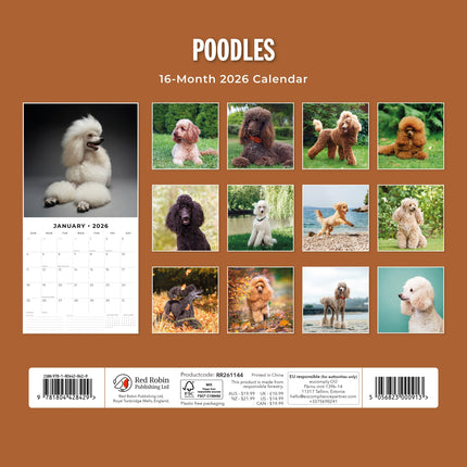 Red Robin Poedel Kalender 2026