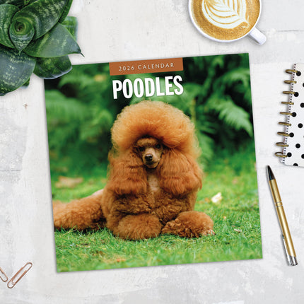 Red Robin Poedel Kalender 2026
