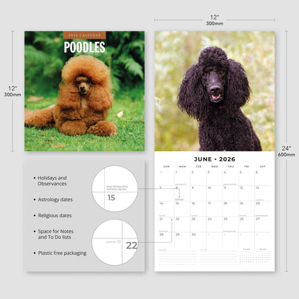 Red Robin Poedel Kalender 2026