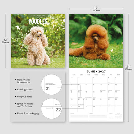 Red Robin Poedel Kalender 2027
