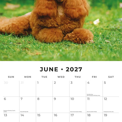 Red Robin Poedel Kalender 2027