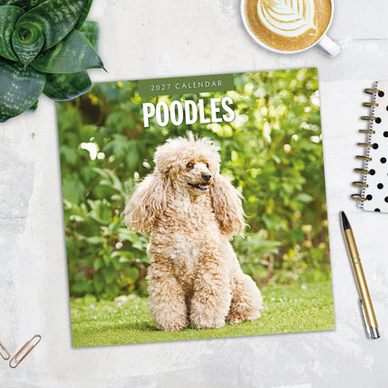 Red Robin Poedel Kalender 2027