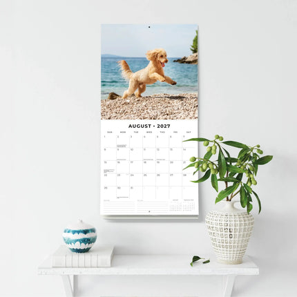Red Robin Poedel Kalender 2027
