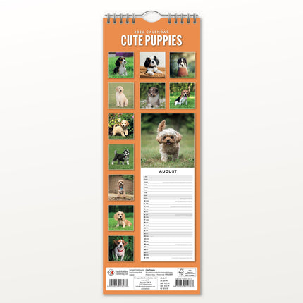 Red Robin Puppies Slimline Kalender 2026