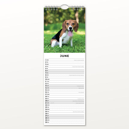 Red Robin Puppies Slimline Kalender 2026