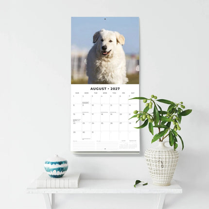 Red Robin Pyreneese Berghond Kalender 2027
