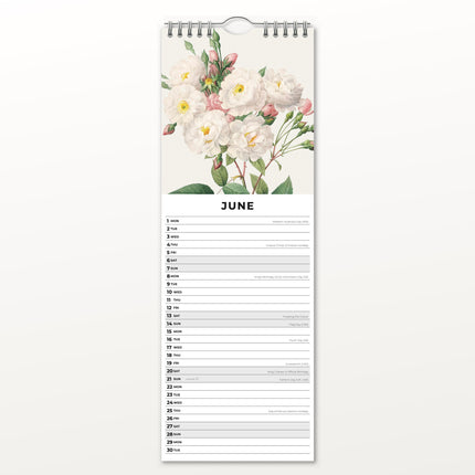 Red Robin Redoute Slimline Kalender 2026