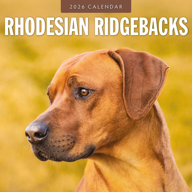 Red Robin Rhodesian Ridgeback Kalender 2026