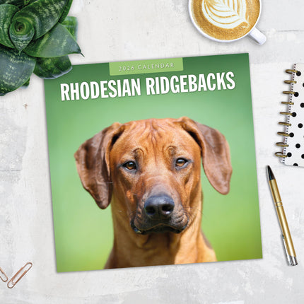 Red Robin Rhodesian Ridgeback Kalender 2026