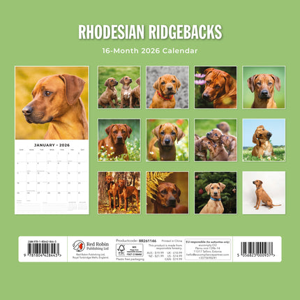 Red Robin Rhodesian Ridgeback Kalender 2026