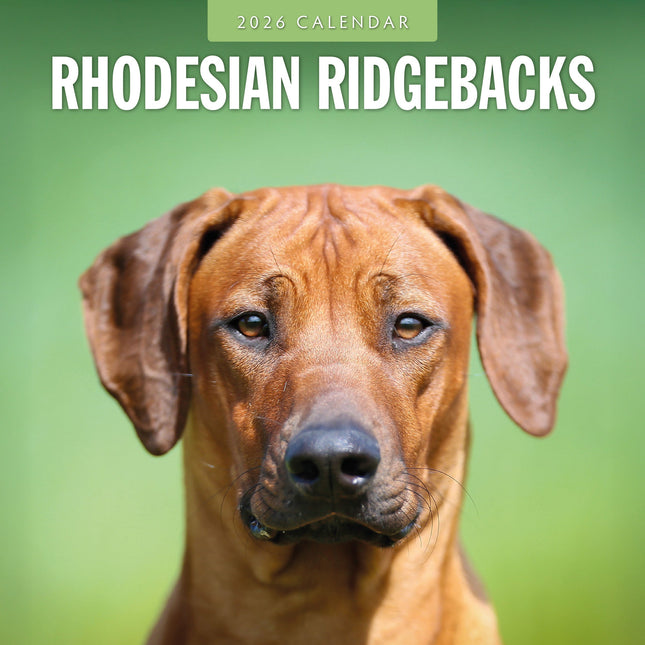 Red Robin Rhodesian Ridgeback Kalender 2026