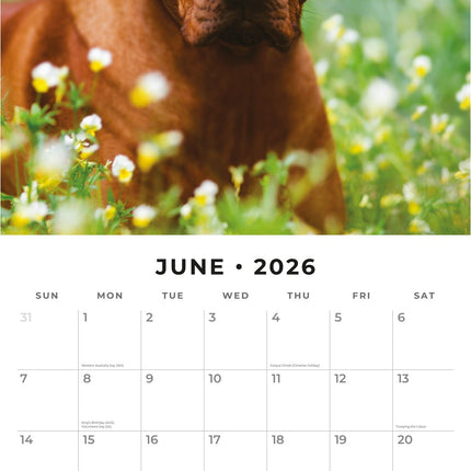 Red Robin Rhodesian Ridgeback Kalender 2026