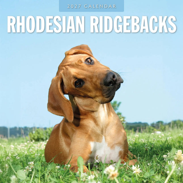 Red Robin Rhodesian Ridgeback Kalender 2027