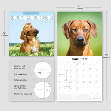 Red Robin Rhodesian Ridgeback Kalender 2027