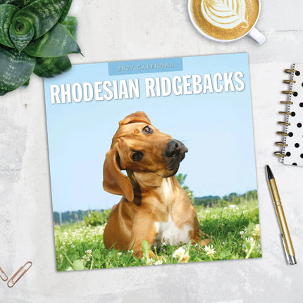 Red Robin Rhodesian Ridgeback Kalender 2027
