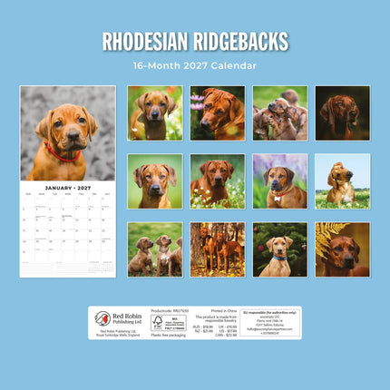Red Robin Rhodesian Ridgeback Kalender 2027