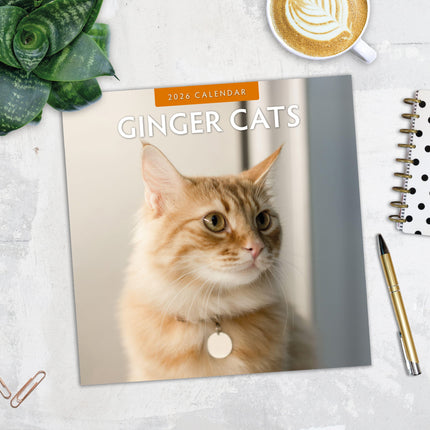 Red Robin Rode Katten Kalender 2026