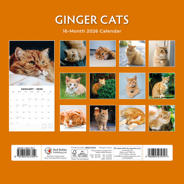 Red Robin Rode Katten Kalender 2026