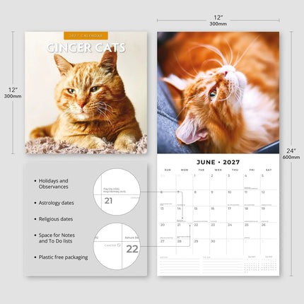 Red Robin Rode Katten Kalender 2027