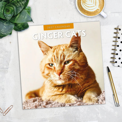 Red Robin Rode Katten Kalender 2027