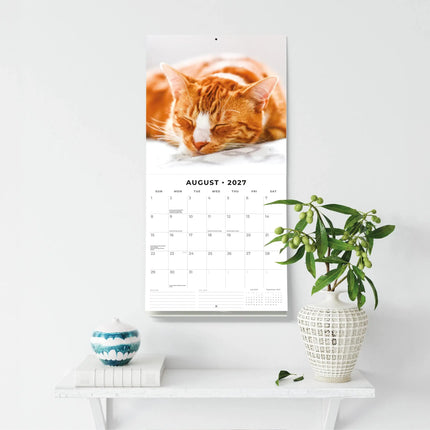 Red Robin Rode Katten Kalender 2027