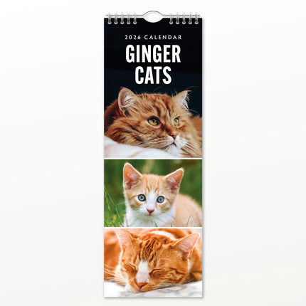 Red Robin Rode Katten Slimline Kalender 2026