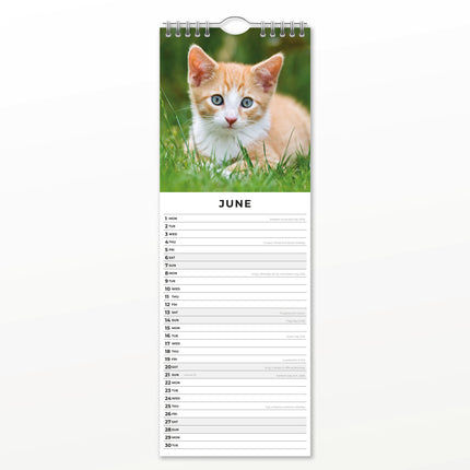 Red Robin Rode Katten Slimline Kalender 2026