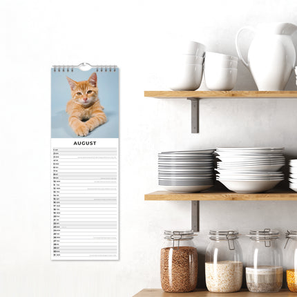 Red Robin Rode Katten Slimline Kalender 2026