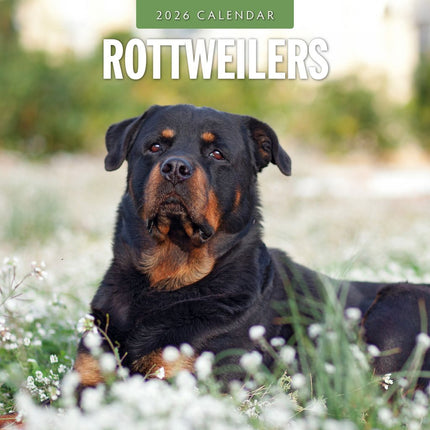 Red Robin Rottweiler Kalender 2026