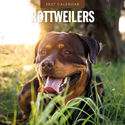Red Robin Rottweiler Kalender 2027