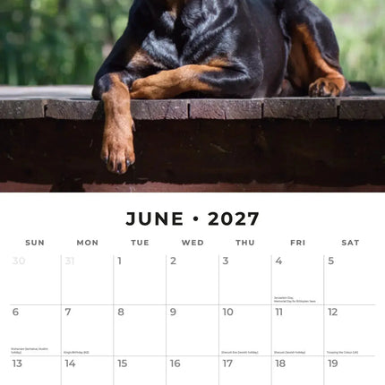 Red Robin Rottweiler Kalender 2027
