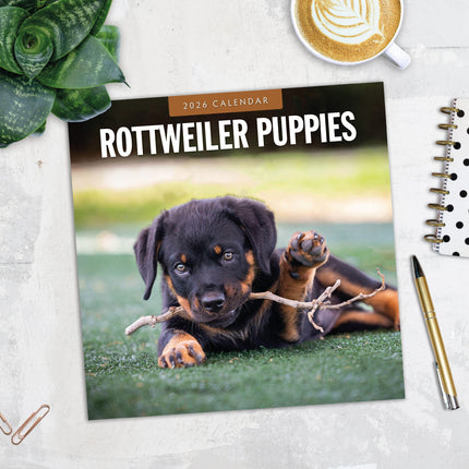 Red Robin Rottweiler Puppies Kalender 2026