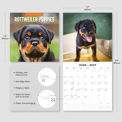 Red Robin Rottweiler Puppies Kalender 2027