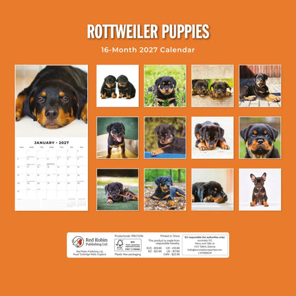 Red Robin Rottweiler Puppies Kalender 2027