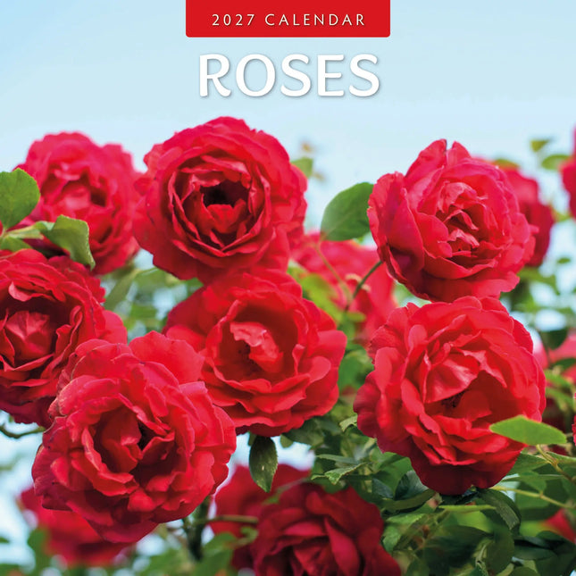 Red Robin Rozen Kalender 2027