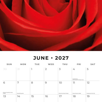 Red Robin Rozen Kalender 2027