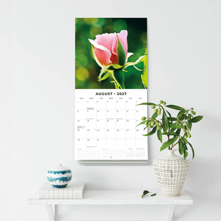 Red Robin Rozen Kalender 2027