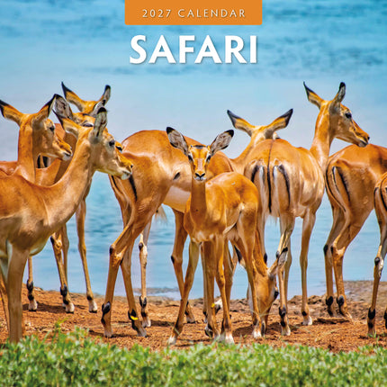 Red Robin Safari Kalender 2027