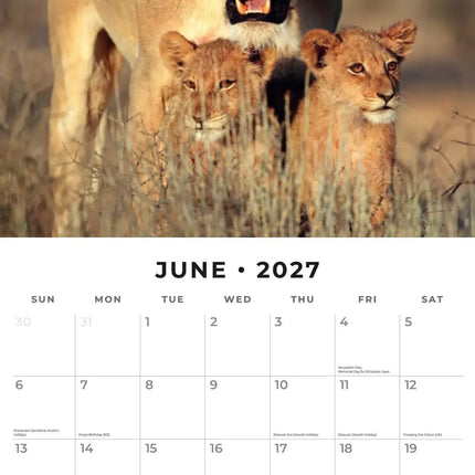 Red Robin Safari Kalender 2027