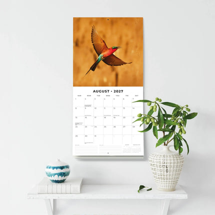Red Robin Safari Kalender 2027