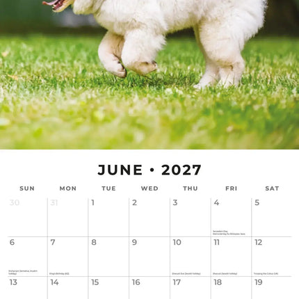 Red Robin Samojeed Kalender 2027