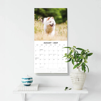 Red Robin Samojeed Kalender 2027