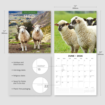 Red Robin Schapen Kalender 2026
