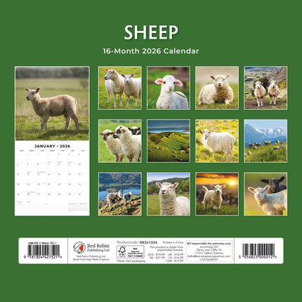 Red Robin Schapen Kalender 2026