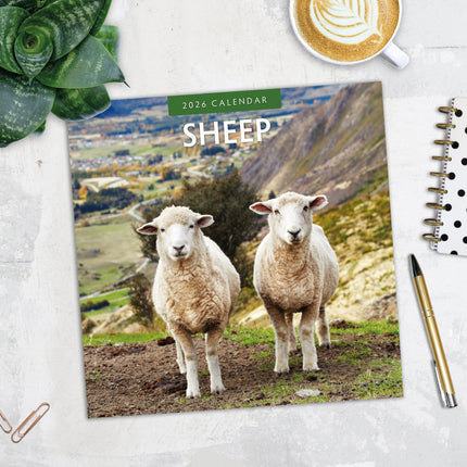 Red Robin Schapen Kalender 2026