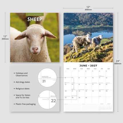 Red Robin Schapen Kalender 2027